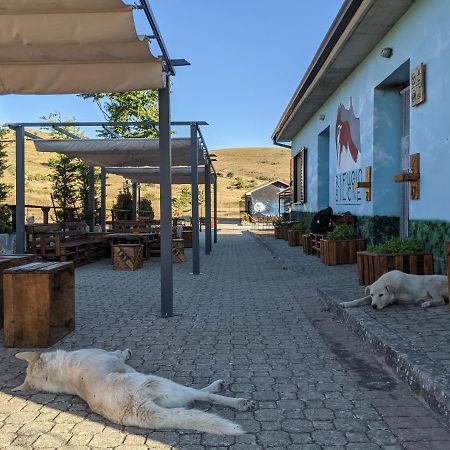 Rifugio Silone Hostel Pescina Buitenkant foto